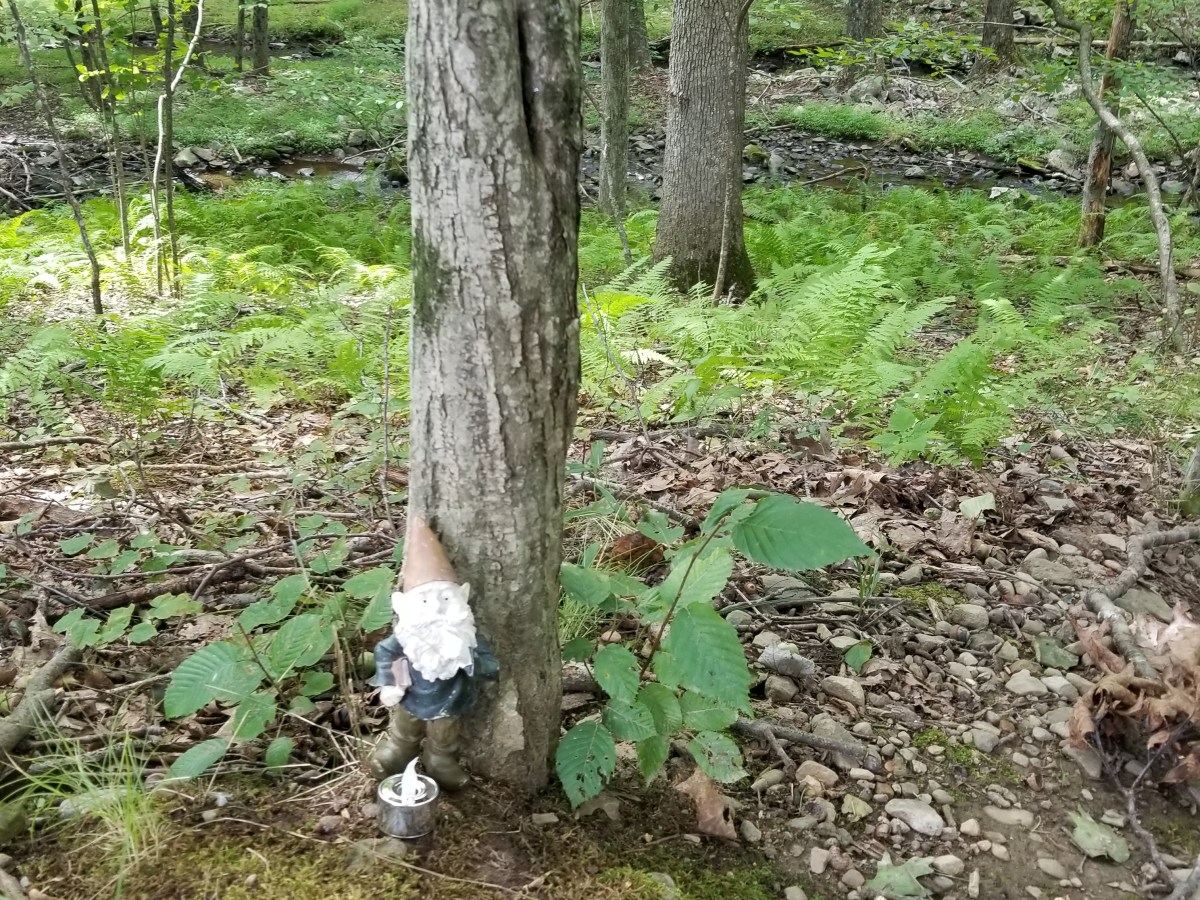 The Story, or Proof the Gods are Not Subtle&nbsp;Beings